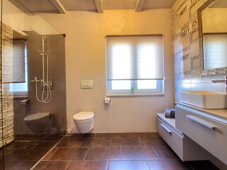 Villa Šišan Caratteristiche 29