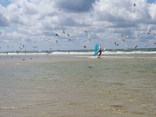 Surfer in Begleitung