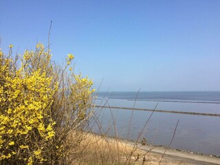 IMG_2863k