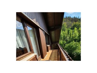 Ferienhaus Zorge Außenaufnahme 7