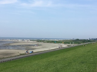 Blick vom Deich