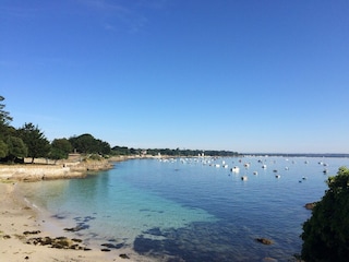 "Les Oiseaux" strand