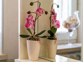 Apartment Dubrovnik  33