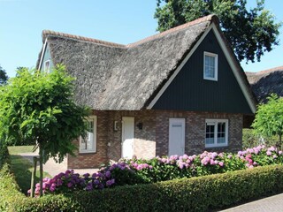 Ferienhaus Sint Maartenszee  26