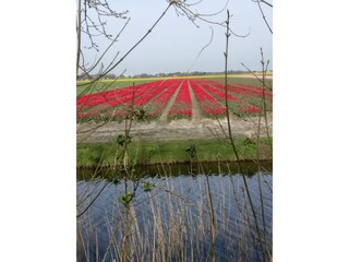 Wohnwagen Sint Maartenszee Außenaufnahme 4