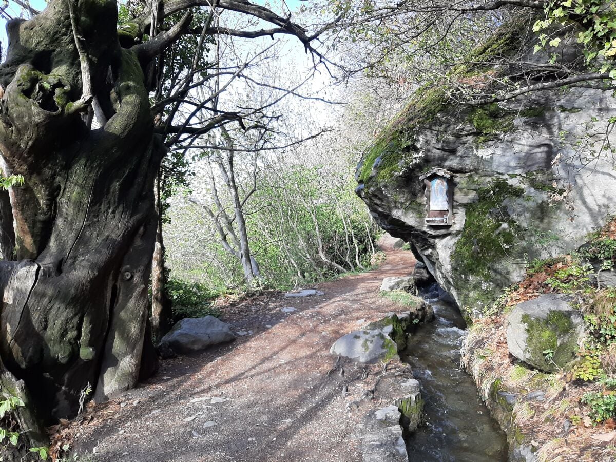 Spaziergang am Waalweg Algund