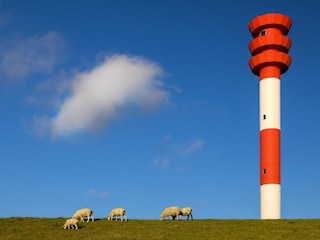 Landschaft