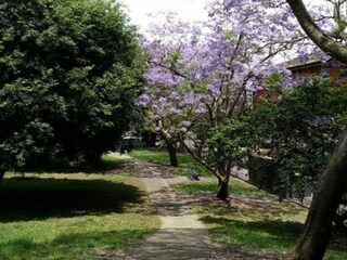 Appartamento Sydney Ambiente 26