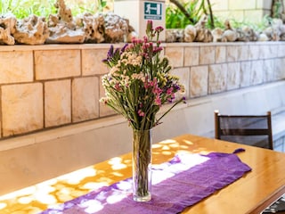 Appartement Lumbarda  14
