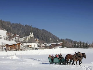 Holiday park Wald im Pinzgau Environment 26