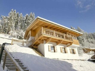 Ferienpark Wald im Pinzgau Außenaufnahme 2