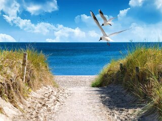 Apartment Großenbrode Umgebung 30