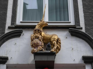 Appartement Harrislee  51