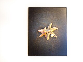 Bungalow Zoutelande Caratteristiche 12