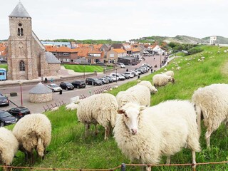 Bungalow Zoutelande Ambiente 30