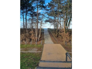 Holiday house Zingst Environment 3