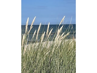 Holiday house Zingst Environment 9