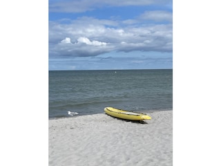 Holiday house Zingst Environment 11