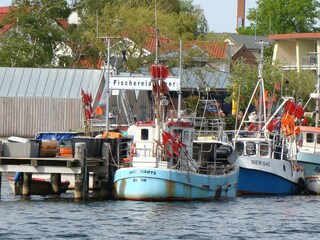 Ferienhaus Rerik Umgebung 21