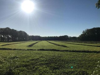 Vakantiepark Holten Omgeving 30