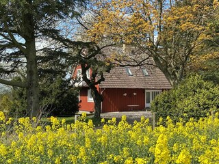 Ferienhaus Stoltebüll Umgebung 18
