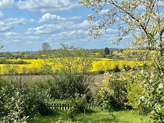 Blick aus dem Haus