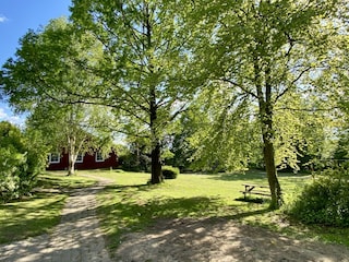 Blick aus dem SchalfzimmerBlack aus dem Schalfzimmer