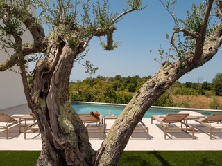 Villa Vabriga Schwimmbad 35