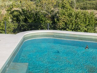 Villa Vabriga Schwimmbad 36