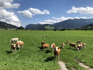 Casa per le vacanze Radstadt Ambiente 35