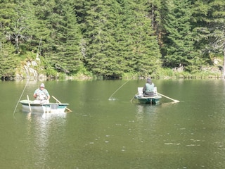 Casa per le vacanze Radstadt Ambiente 37