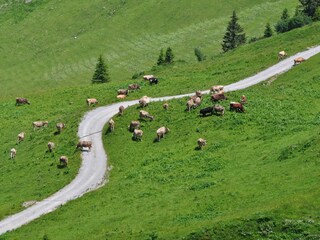 Appartamento per vacanze Bartholomäberg Ambiente 24