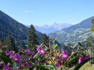 Appartamento per vacanze Bartholomäberg Ambiente 26