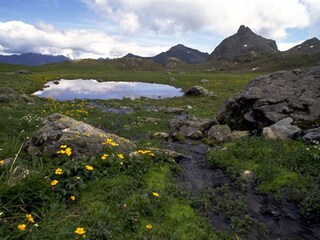 Appartamento per vacanze Bartholomäberg Ambiente 20