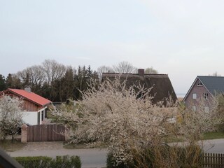 Ferienhaus Neuendorf (Gnitz) Außenaufnahme 5
