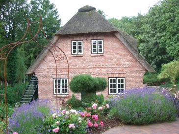 Apartment "My Little Rose Cottage"