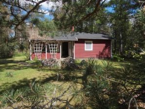 Ferienhaus Oskarshamn - Stångehamn an der Ostsee