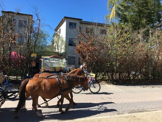 Vakantieappartement Ahlbeck (Usedom) Document 7