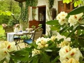 Terrasse mit Frühlingsrhododendron