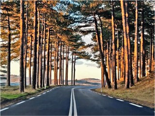 Appartamento Langedijk Ambiente 26