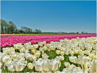 Appartamento Langedijk Ambiente 31