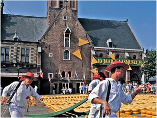 Apartment Langedijk  31