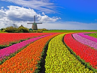 Appartamento Langedijk Registrazione all'aperto 11