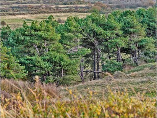 Appartamento Langedijk Ambiente 36