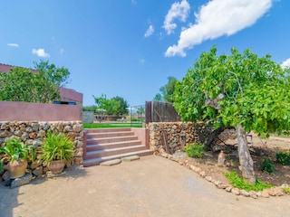 Villa Ariany Outdoor Recording 16