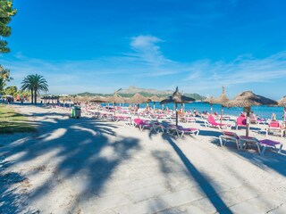 Apartment Alcudia Umgebung 37