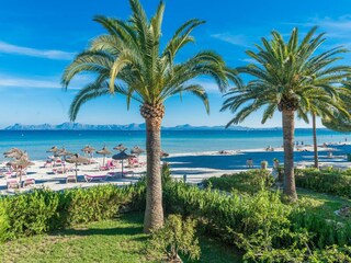 Apartment Alcudia Umgebung 39
