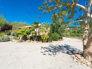 Villa Sa Pobla Entorno 41