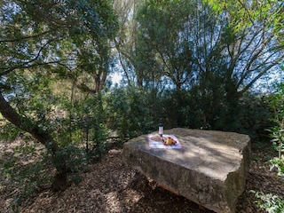 Villa Vilafranca de Bonany Grabación al aire libre 33