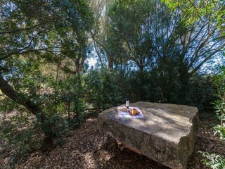 Villa Vilafranca de Bonany Outdoor Recording 33